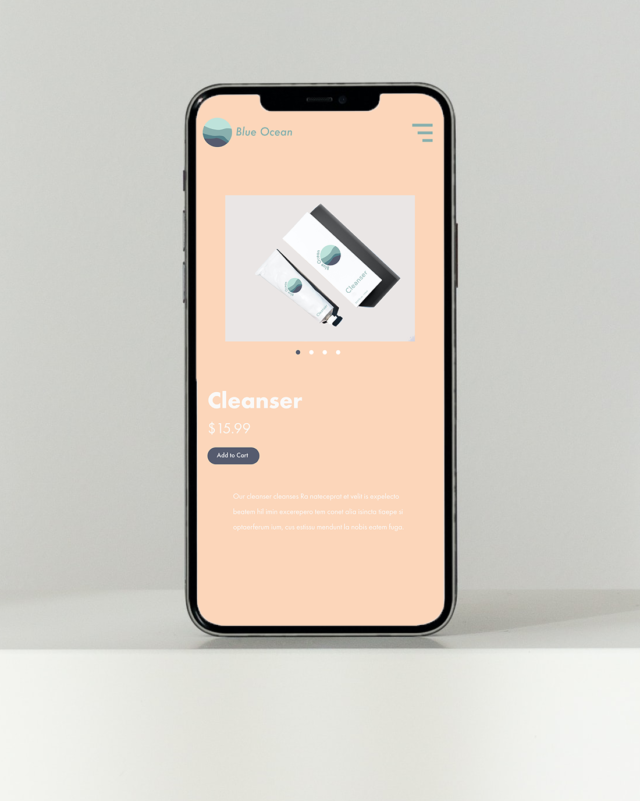 Mobile Web Mockup 3